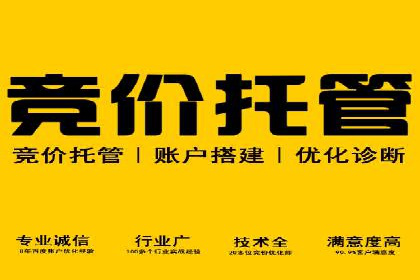 成功SEM账户运营案例解析